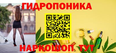 индика Ленинск-Кузнецкий