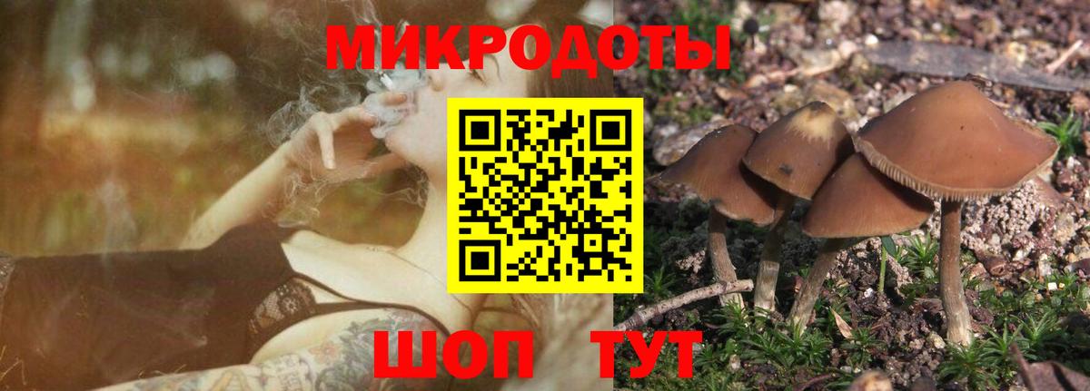Галлюциногенные грибы GOLDEN TEACHER Клинцы
