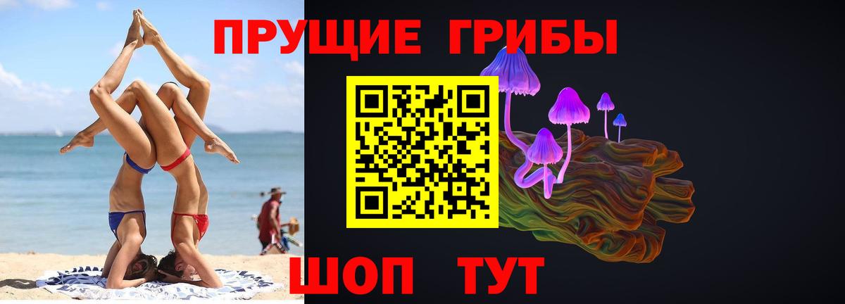 Клинцы  Псилоцибиновые грибы ЛСД  Вход с VPN 
